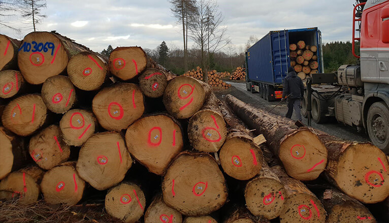 EFM en Stamhout -Rondhout