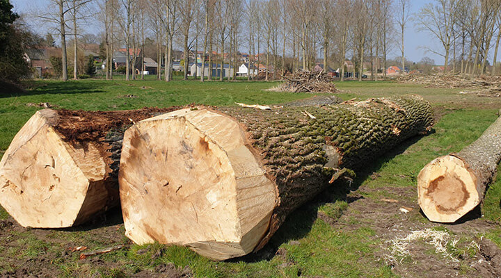 EFM en Exploitatie