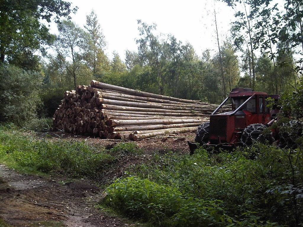 Het aanbod van EFM - Stammen